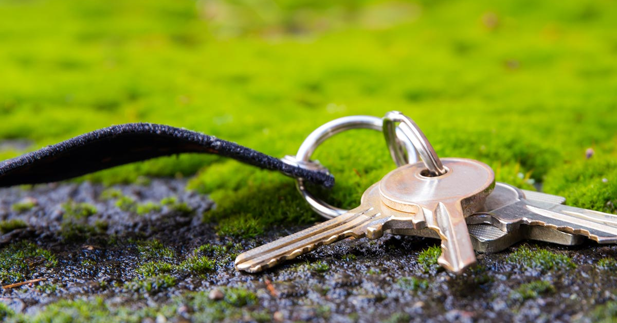 Blogs 49 Dekorative Diener