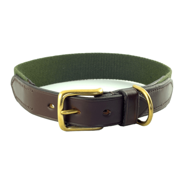 Hundehalsband Bredon Canvas